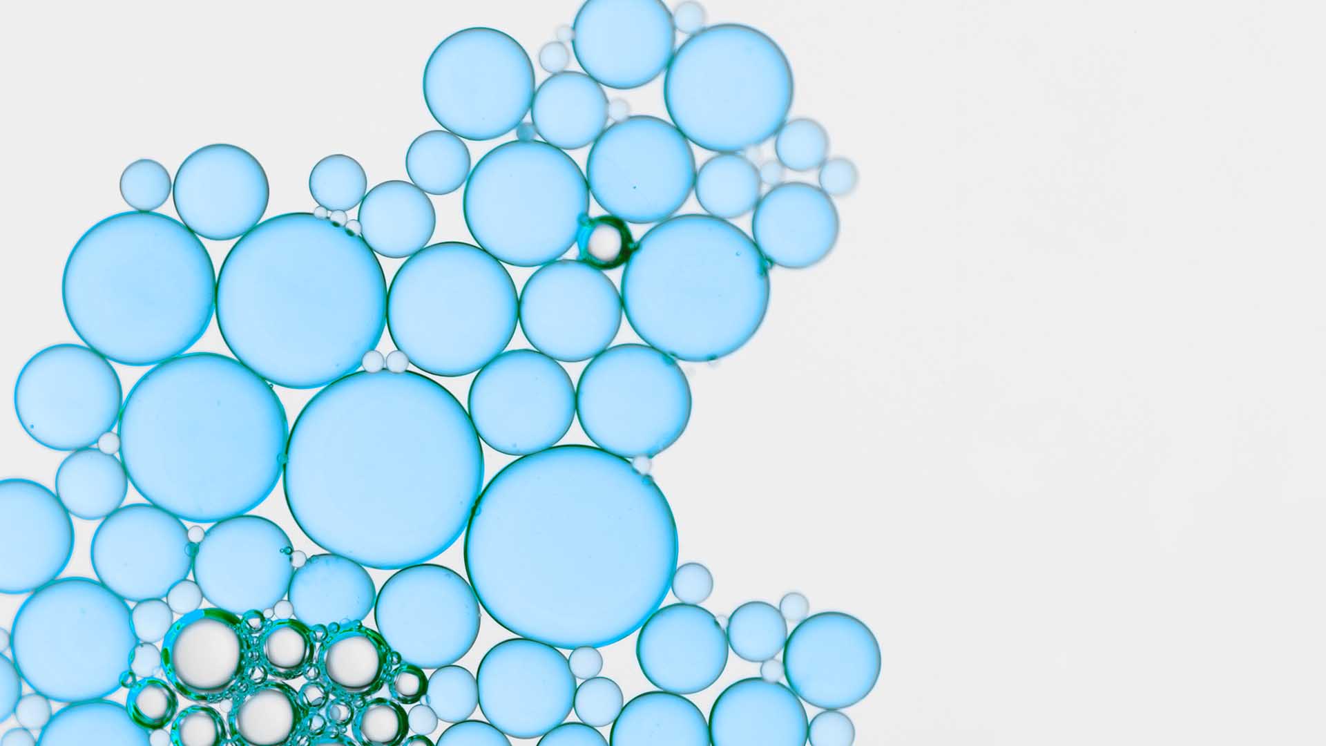 Cardiovascular Picture