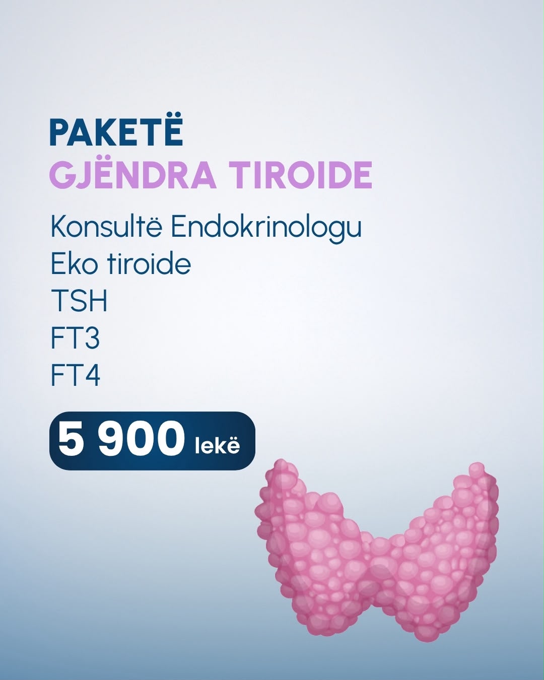 Oferta Trita 4