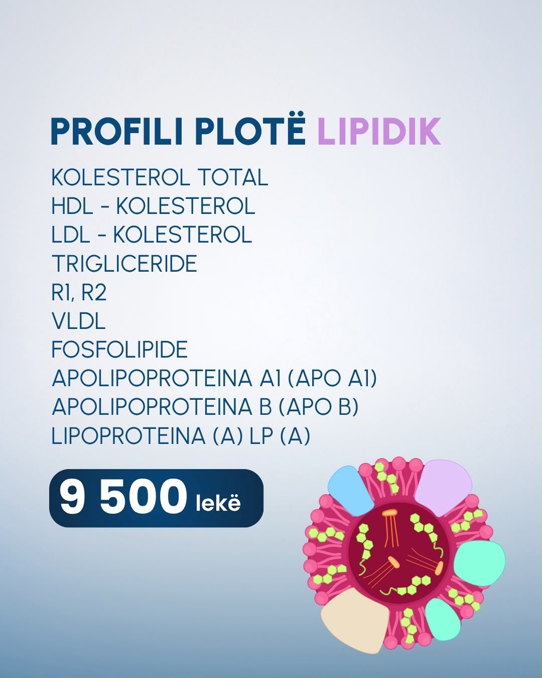 Oferta Trita 9